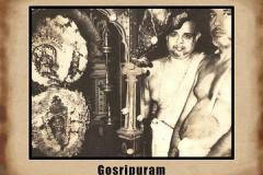 full_gosripuram1667103952