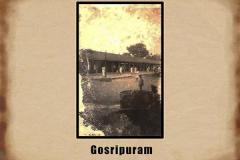 full_gosripuram327006004